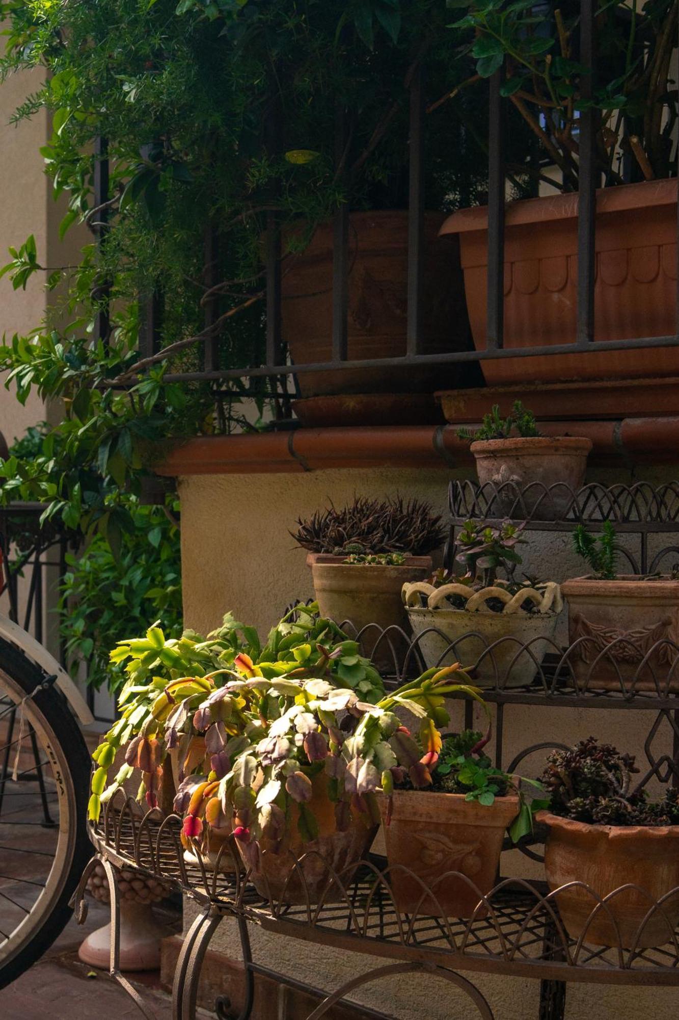 Guest House Antichi Ulivi Mondello Exterior photo